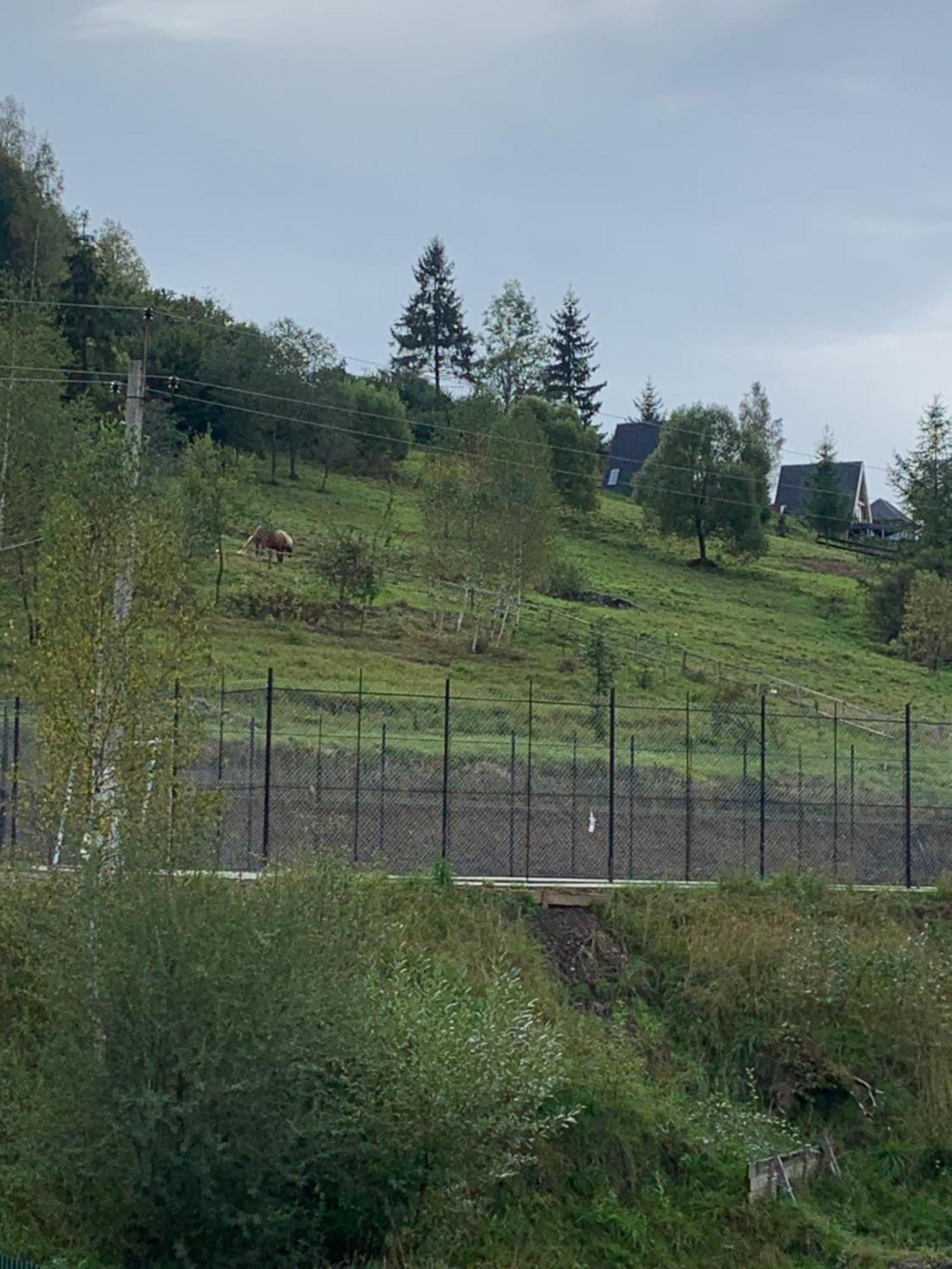 Аура Карпат Villa Slavske Exteriör bild